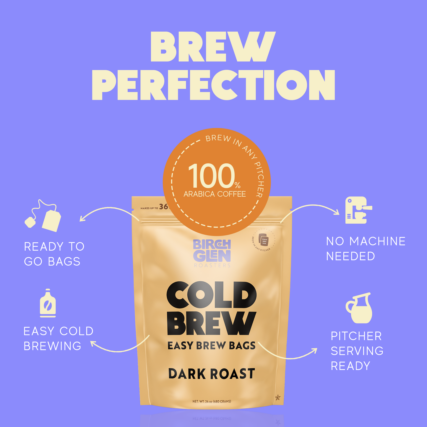 Birch Glen Cold Brew Coffee Pitcher Packs - 12 Bags - Irish Cream