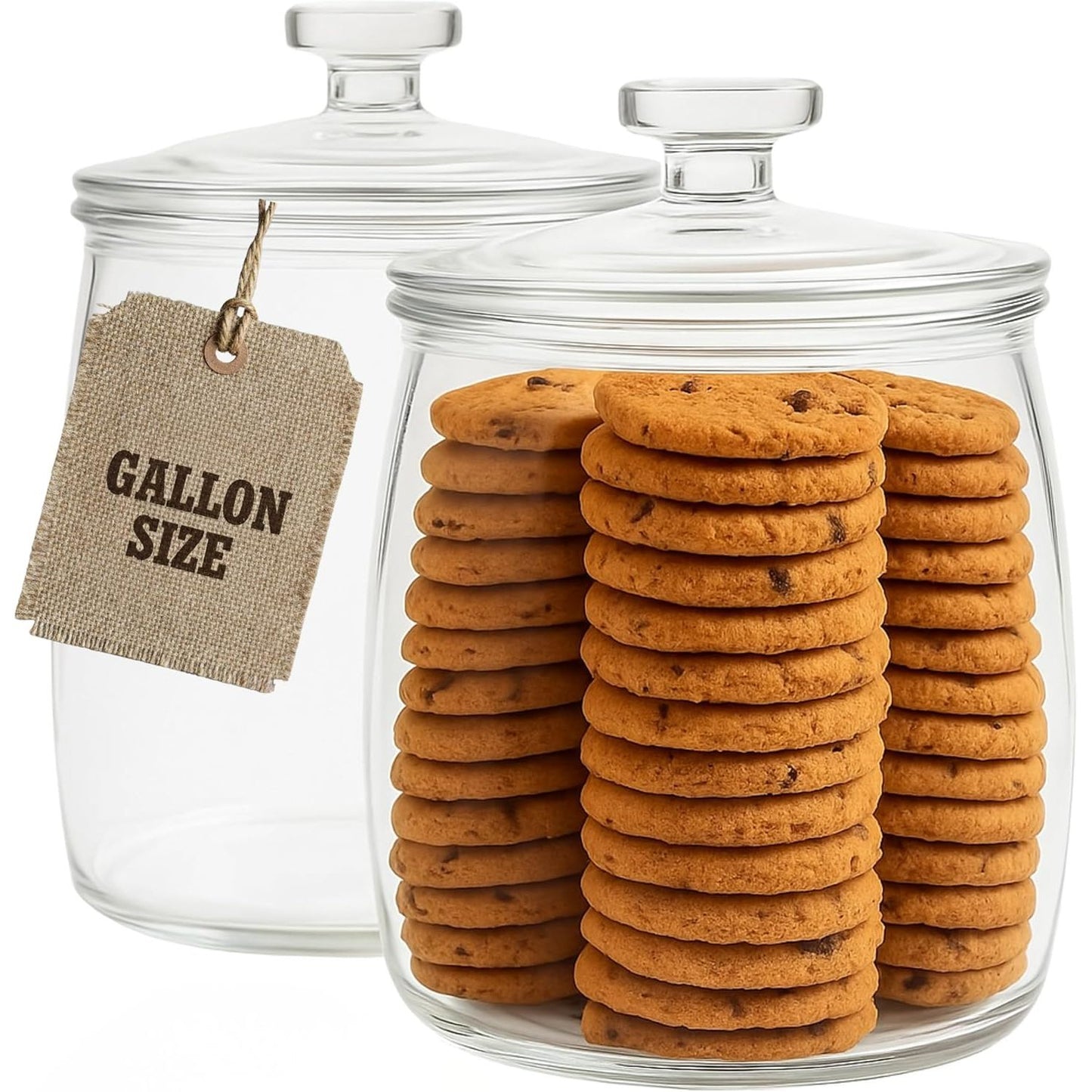 1 Gallon Modern Glass Cookie Jar with Airtight Lid