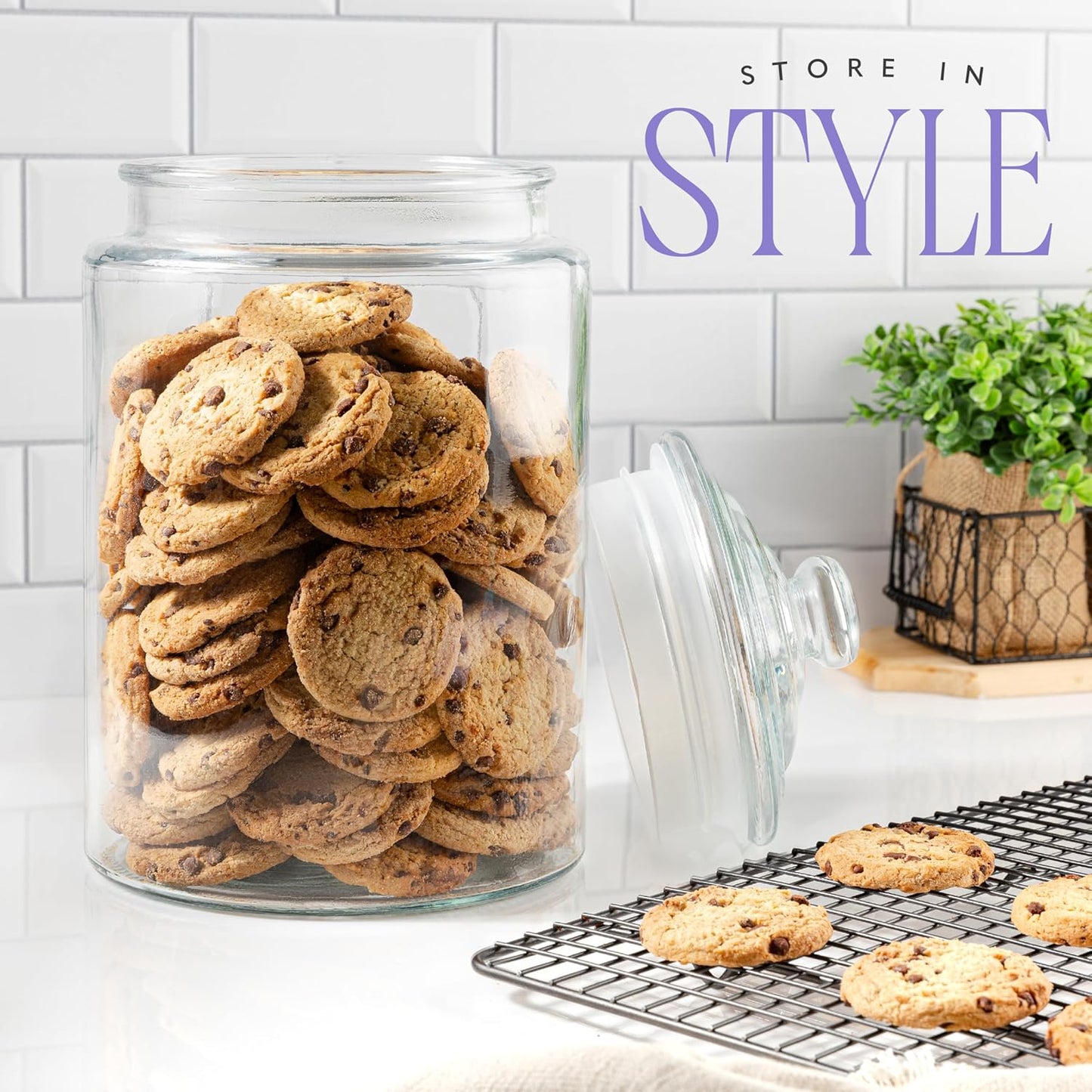 2 Gallon Tall Glass Cookie Jar with Airtight Lid