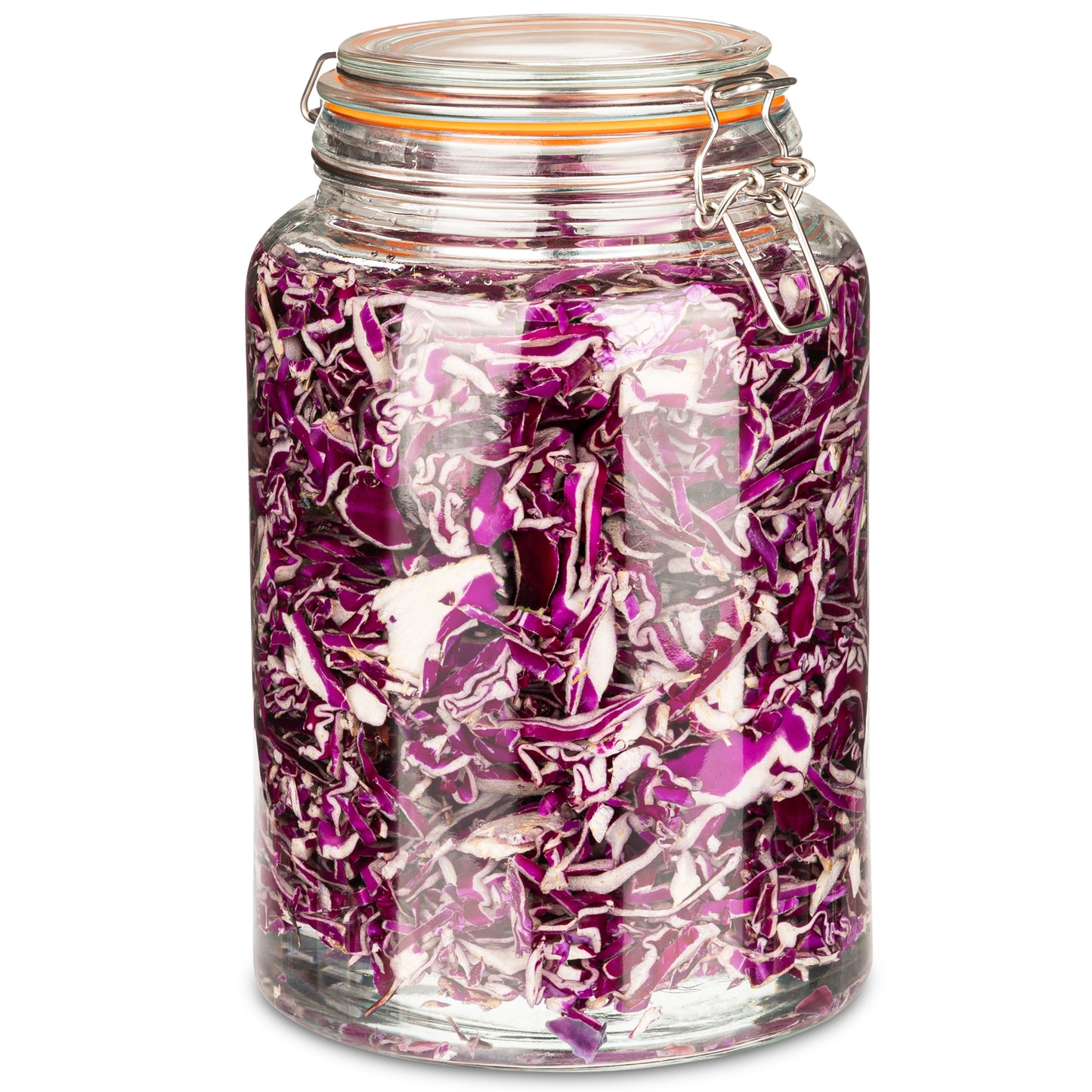 1 Gallon Glass Storage Jar with Clasp Lid