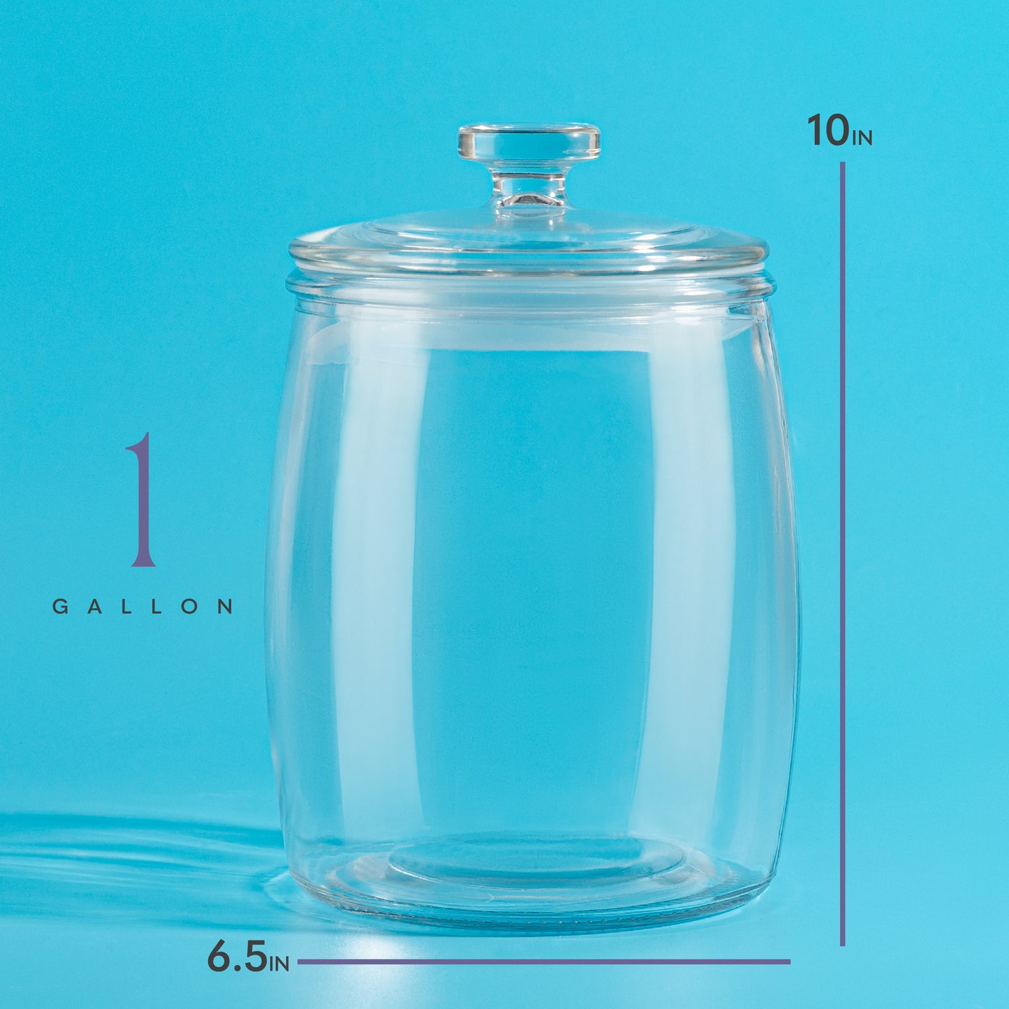 Modern 1 Gallon Glass Jar with Airtight Lid