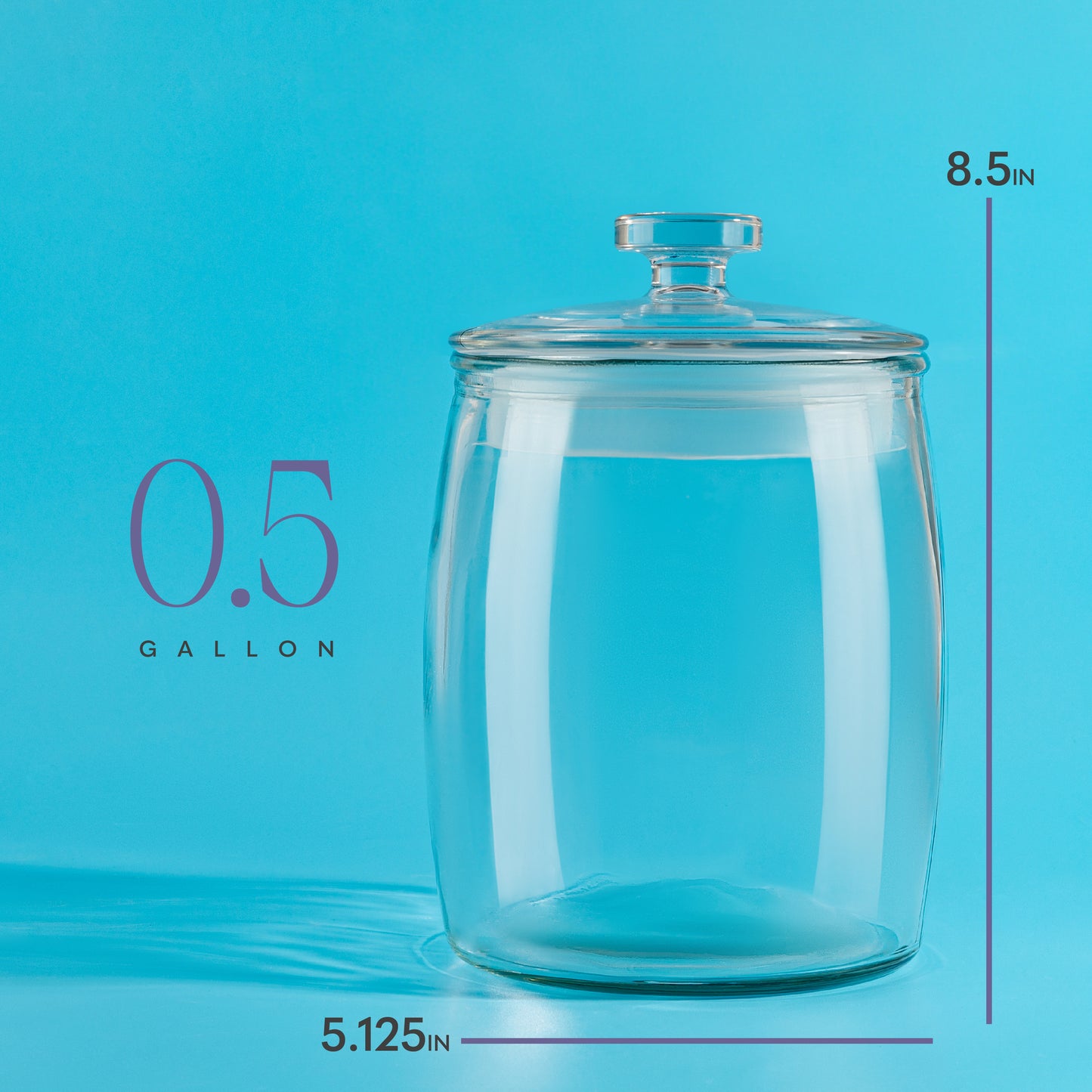 Half Gallon Glass Cookie Jars with Airtight Lids - Pack of 2 (64oz)