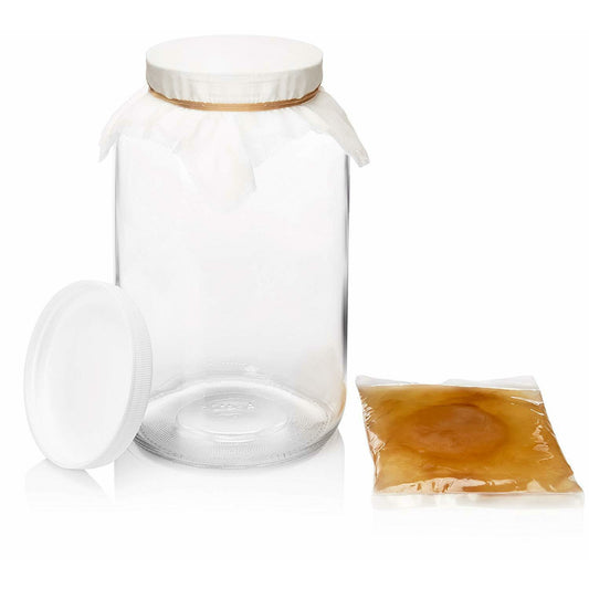 The Basic Kombucha Brewing Kit