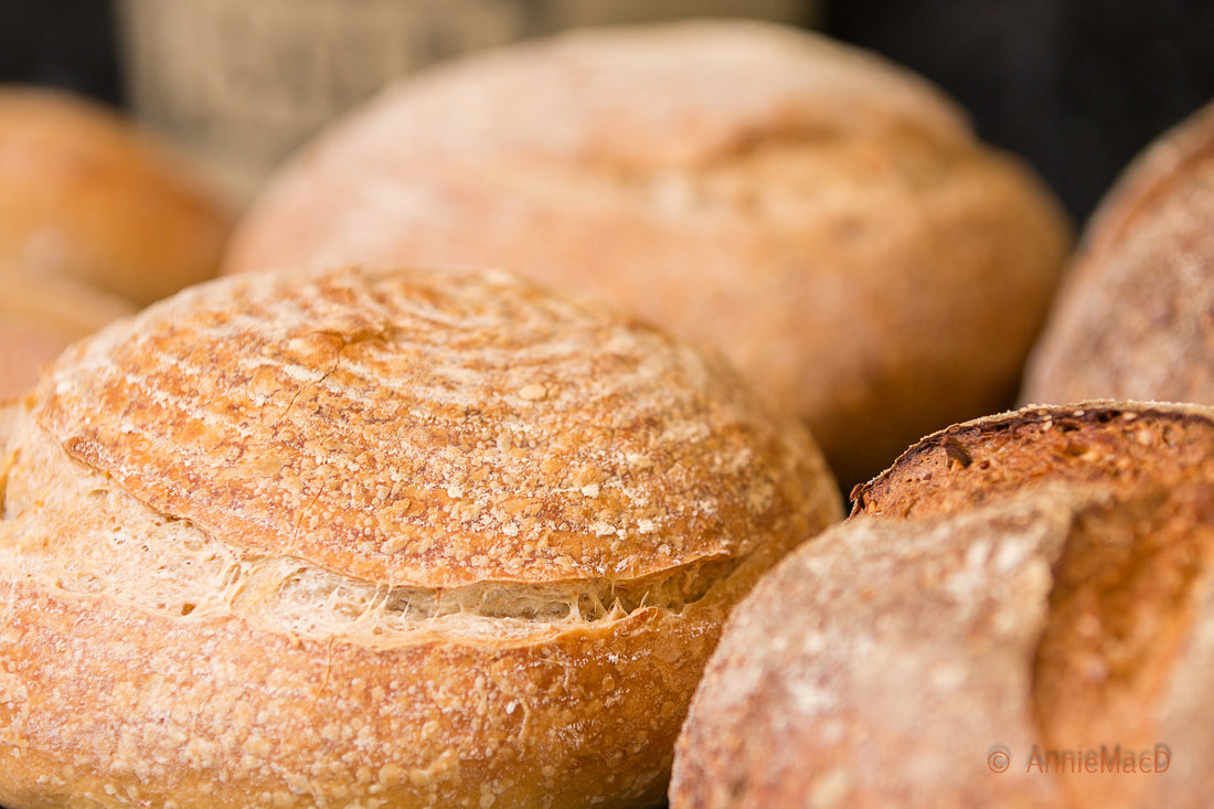 Exploring the Magic of San Francisco-Style Sourdough Starter Dough