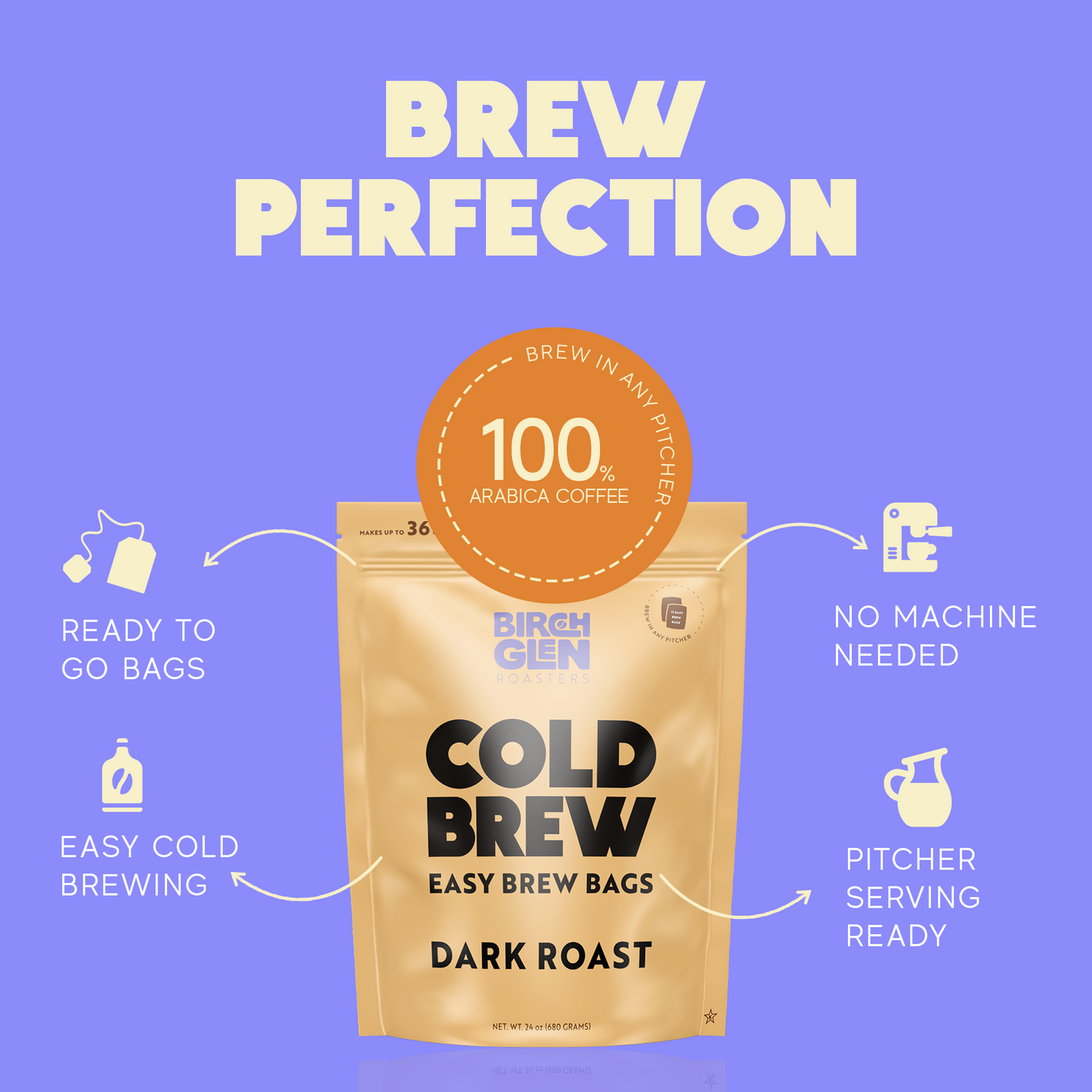 Birch Glen Cold Brew Coffee Pitcher Packs -  12 Bags - Irish Cream