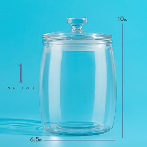 Airtight lid detail on modern glass cookie jar