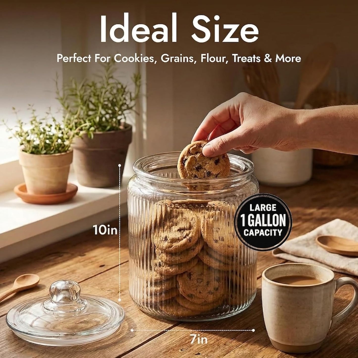 1 Gallon Ribbed Glass Cookie Jar with Airtight Lid