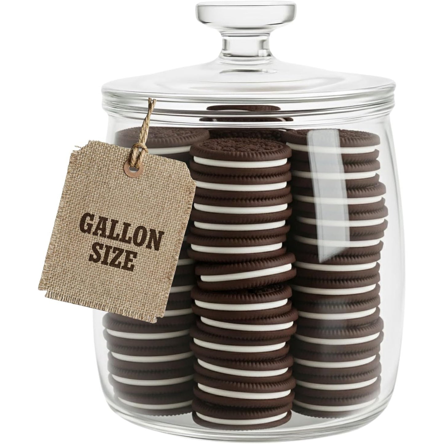 1 Gallon Modern Glass Cookie Jar with airtight lid
