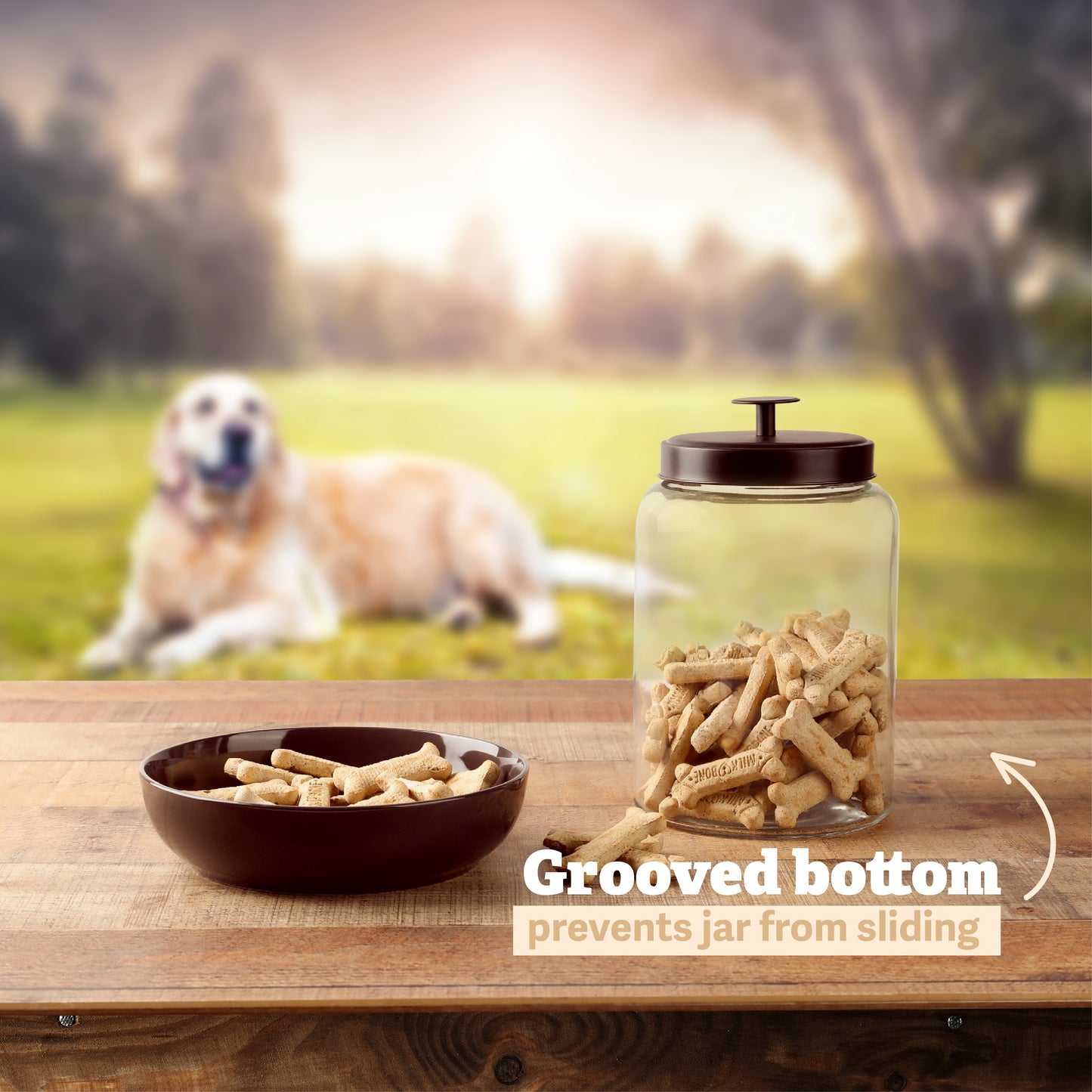 Gallon glass cookie jar with metal screw top