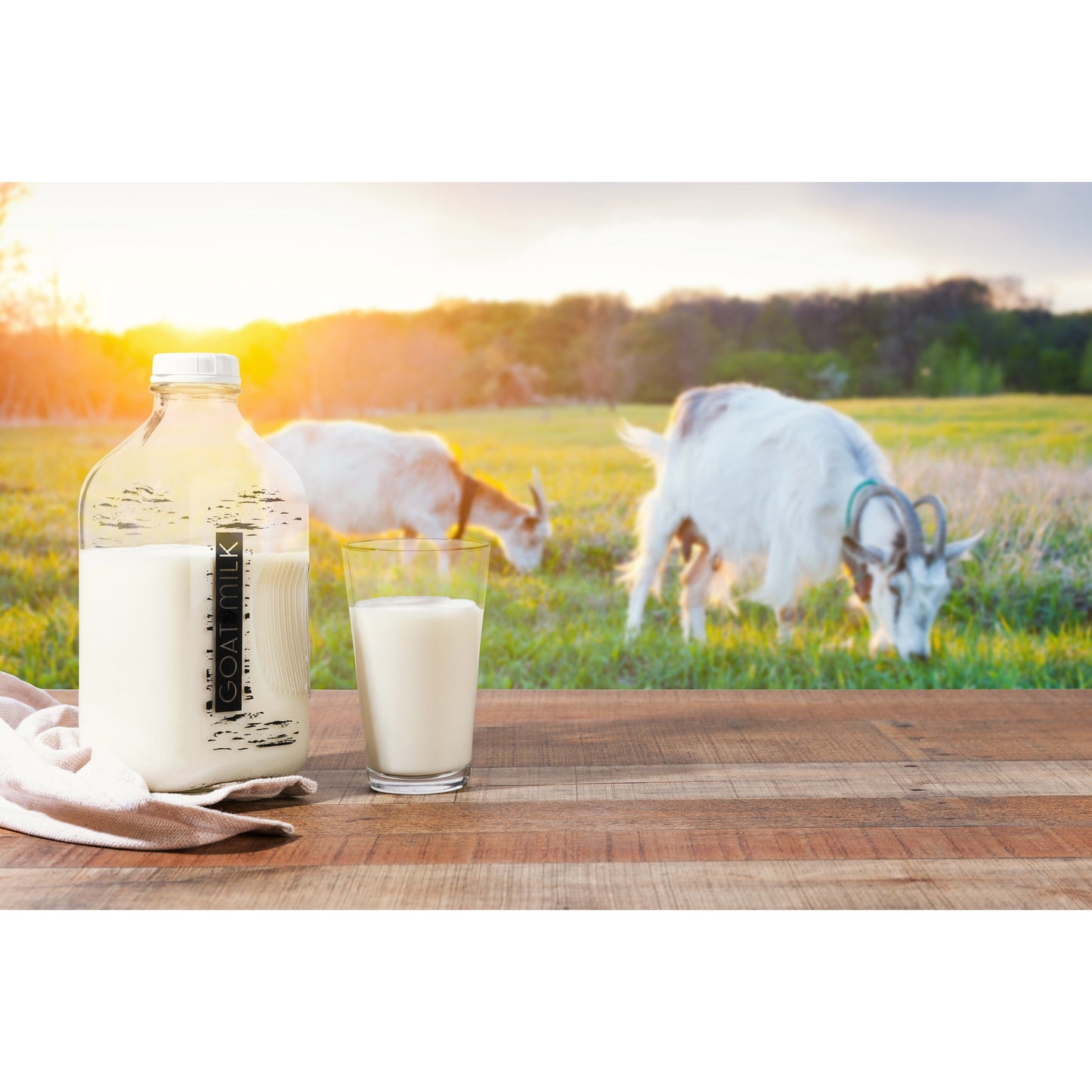 Signature Print 64oz Farmhouse Milk Bottle with Lid and Pour Spout - Goat Milk