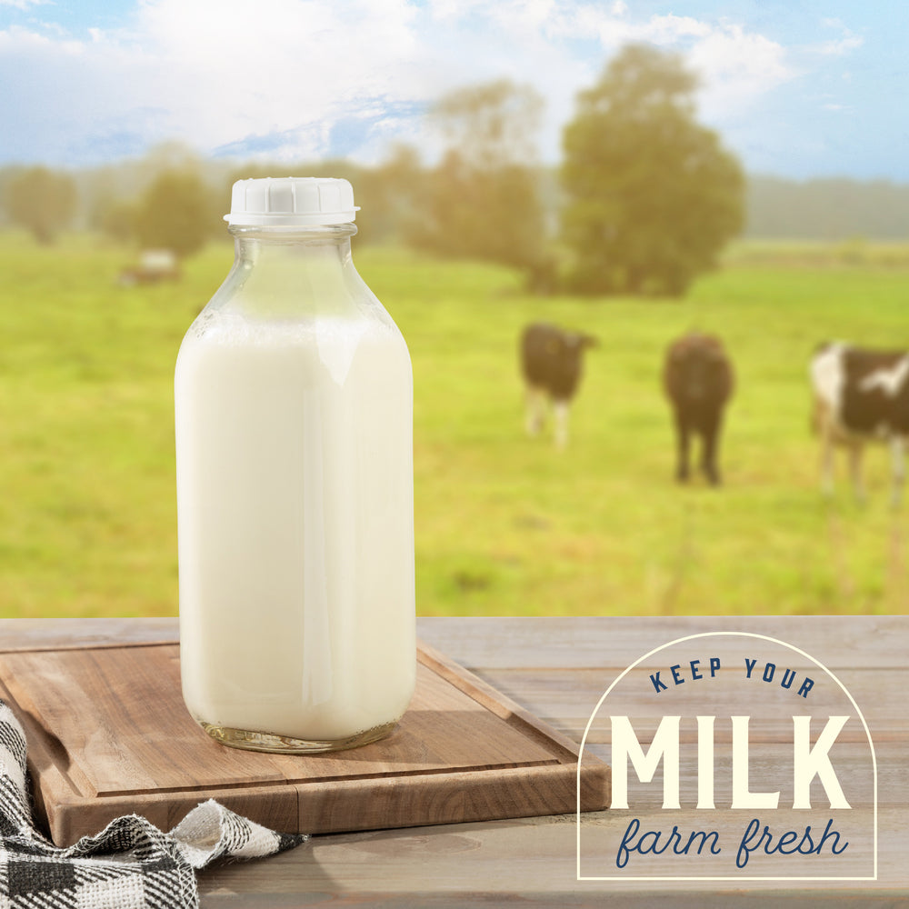 Square glass milk bottle with lid, view 7