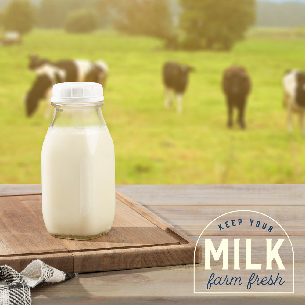 Mini square glass milk bottle, view 6