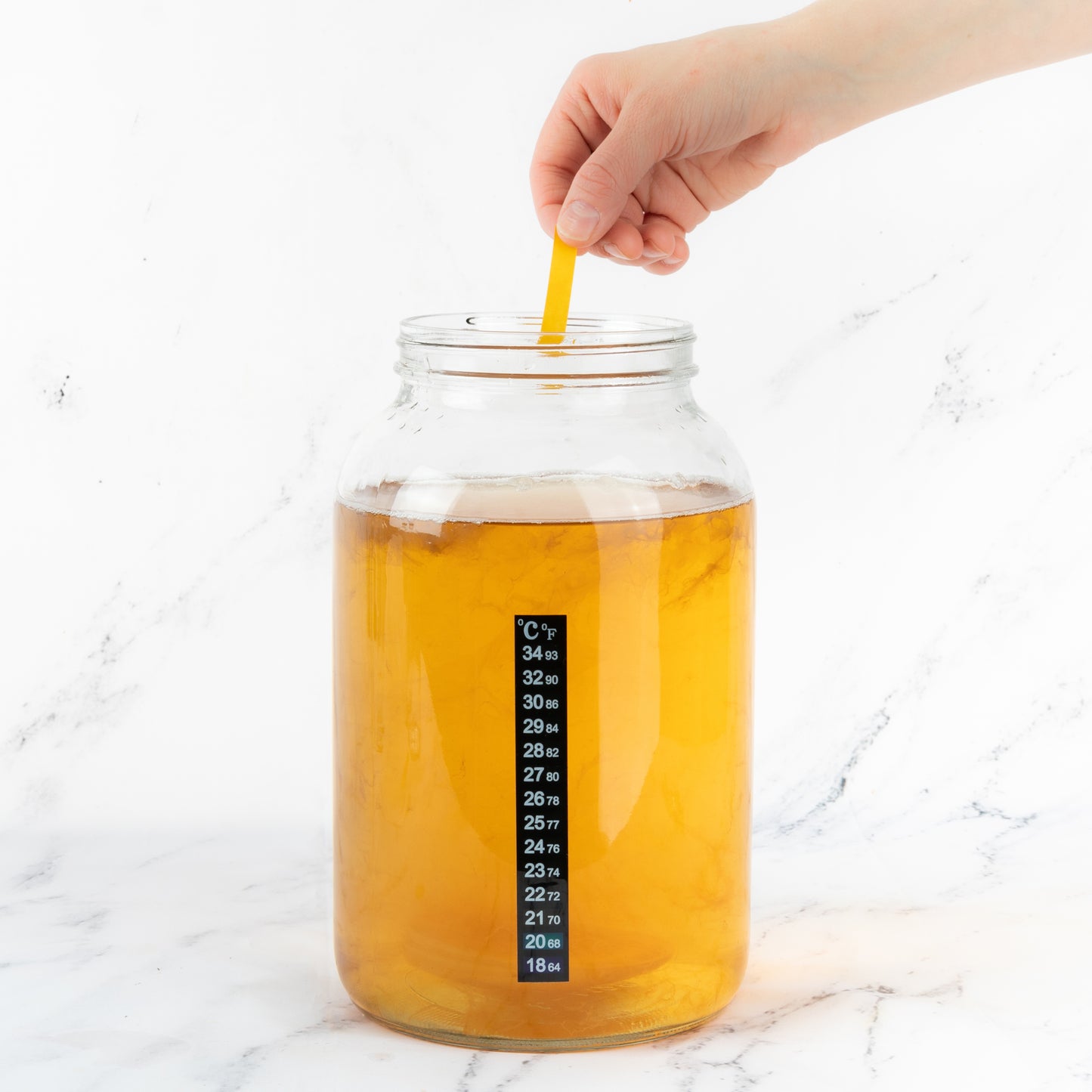 The Complete Kombucha Brewing Kit