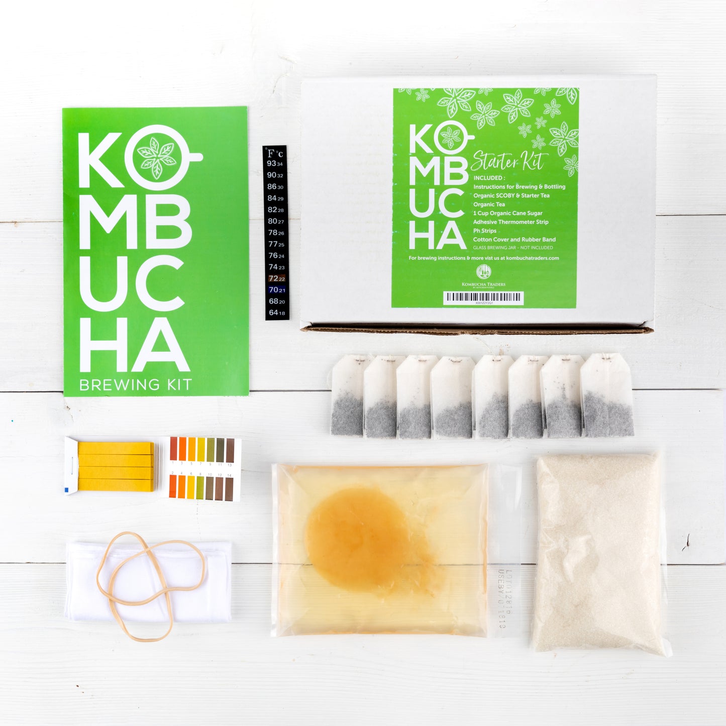 The Mini Kombucha Kit