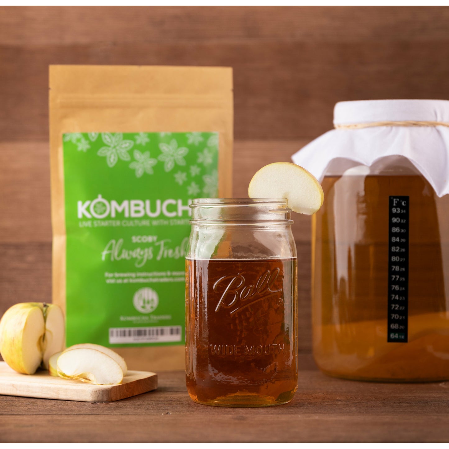 Live Kombucha SCOBY Starter Culture with Starter Tea